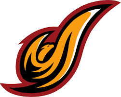DISTRICT OF COLUMBIA Team Logo